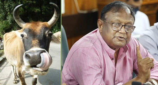 গরু কিনতে গিয়ে প্রতারণার শিকার বাণিজ্যমন্ত্রী!